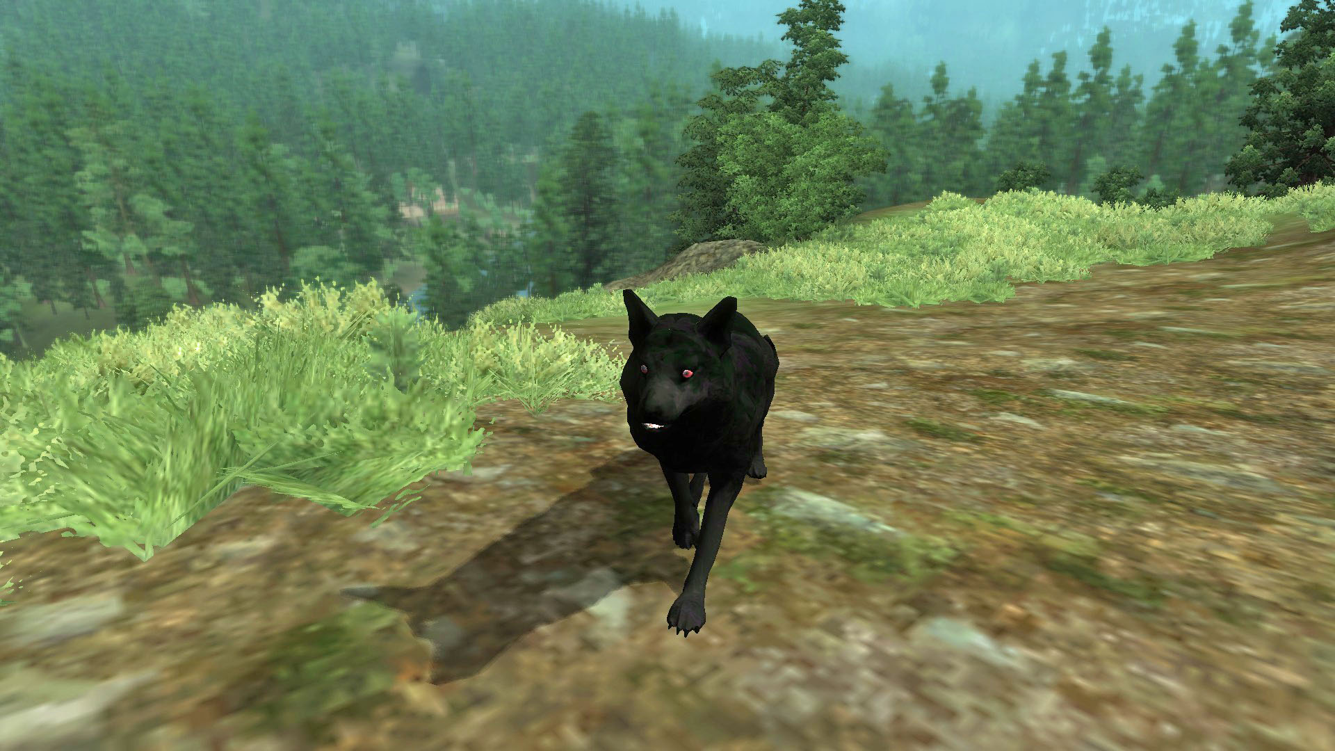 Senile Shadow Wolf Nehrim Powered By Wikia