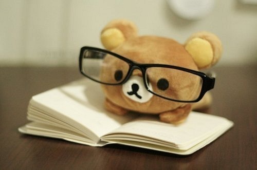 Adorable Aww Book Cute Glasses Image On Favim