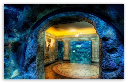Aquarium HDr HD Desktop Wallpaper Widescreen High Definition