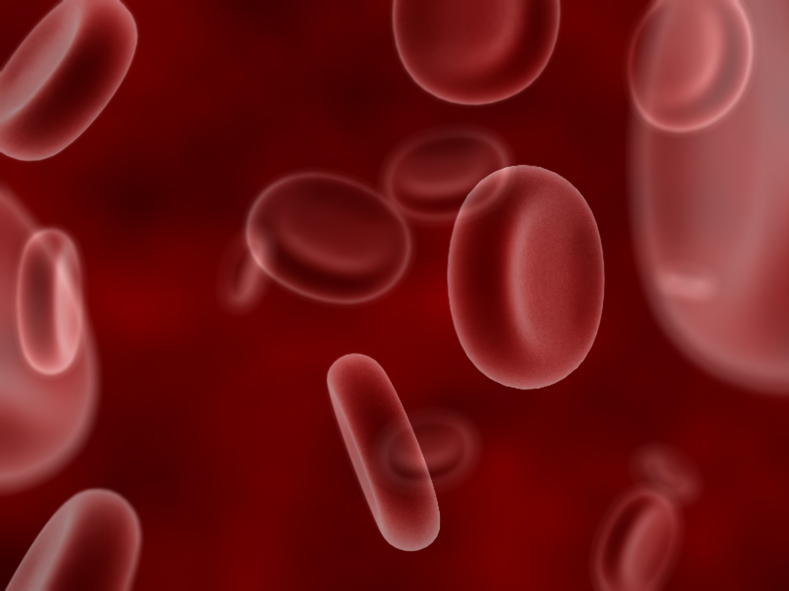 Blood Biology HD Wallpaper General