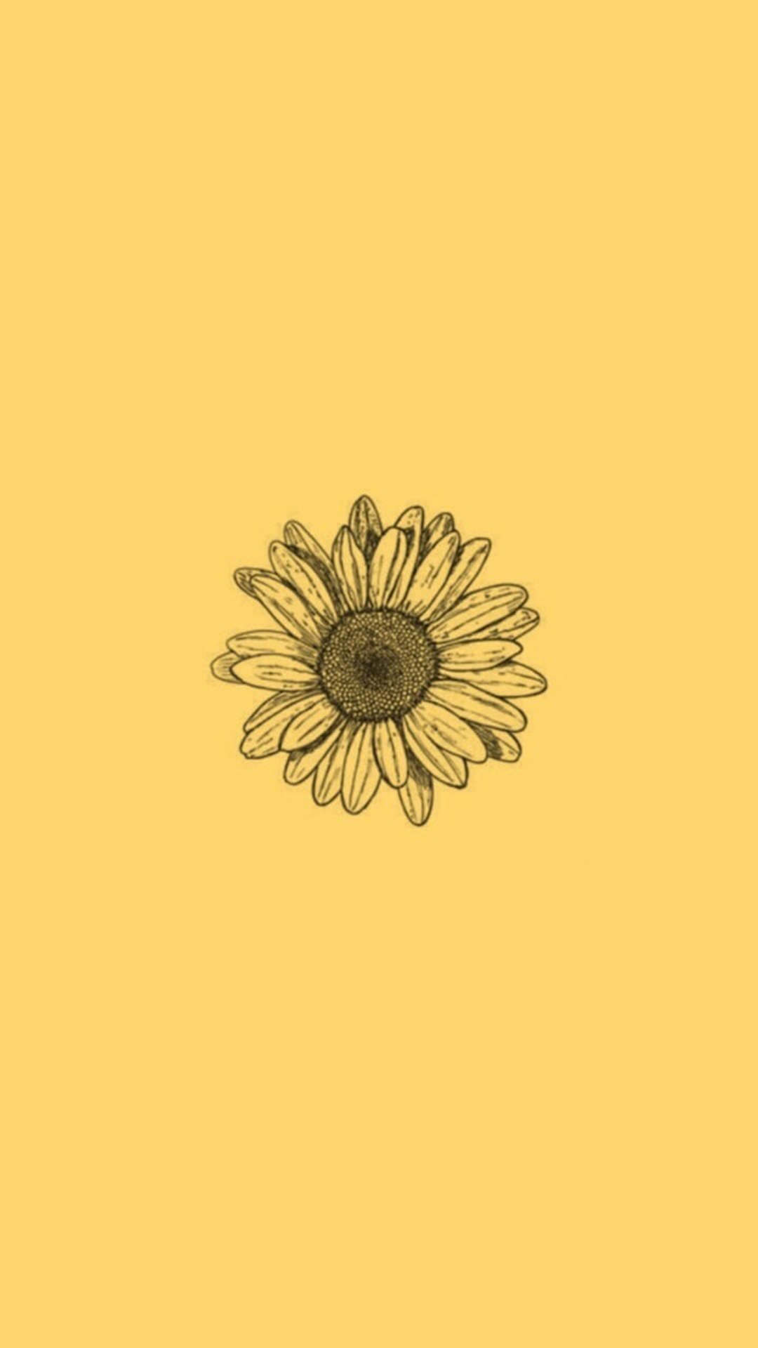 iPhone Aesthetic Sunflower Wallpaper