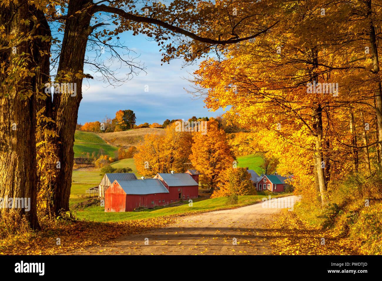 🔥 Free download New england fall colours road hi res stock photography