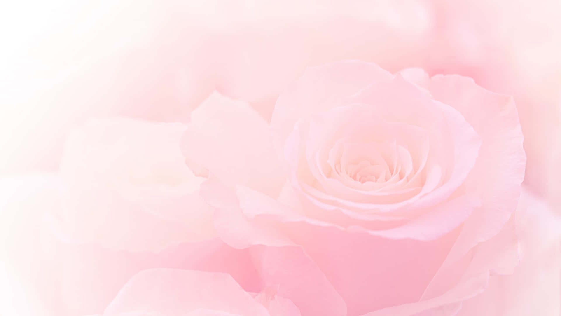 Aesthetic Computer Light Pink Wallpaper