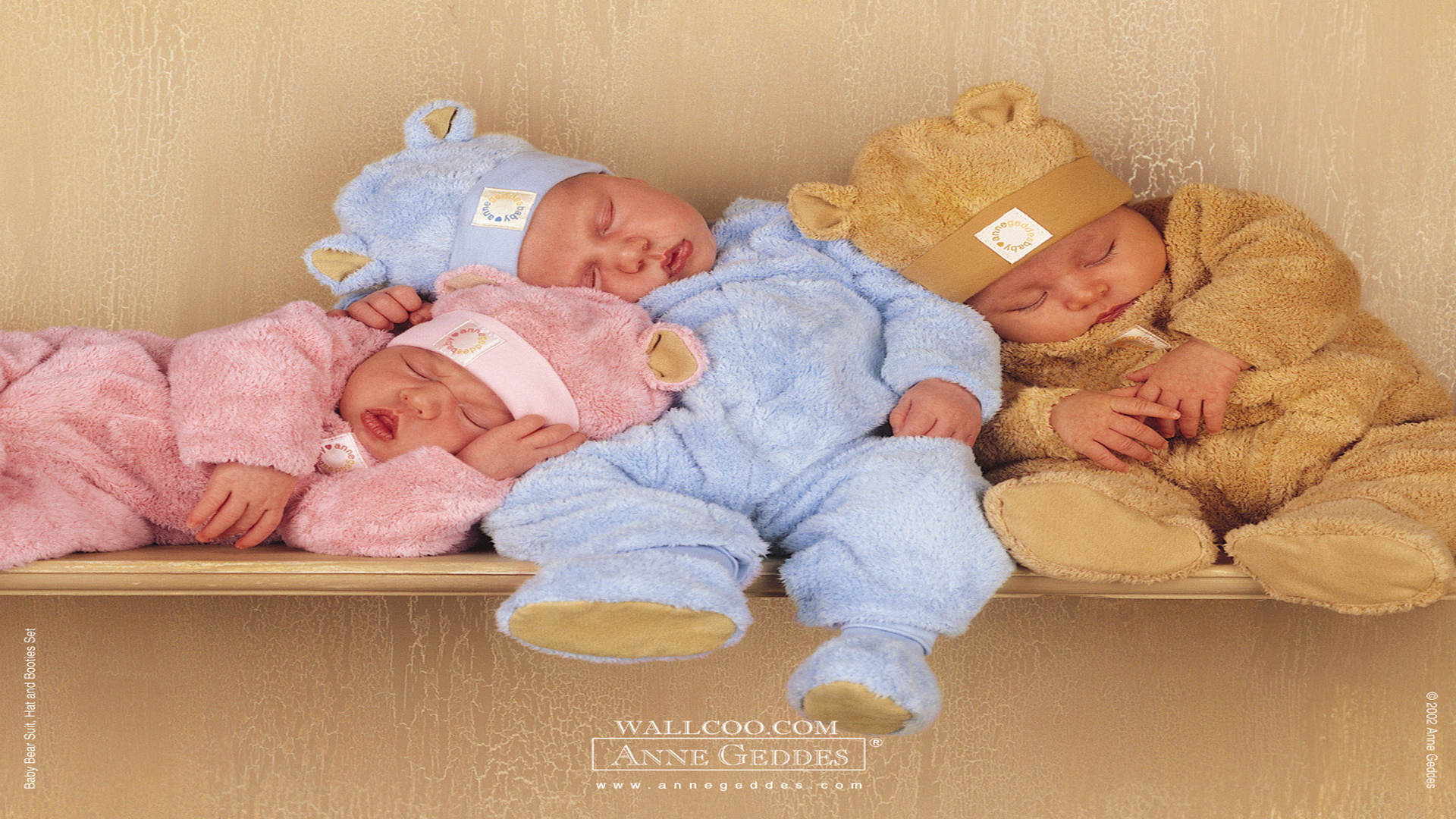 Wallpaper Anne Geddes Babies X Kb Jpeg HD