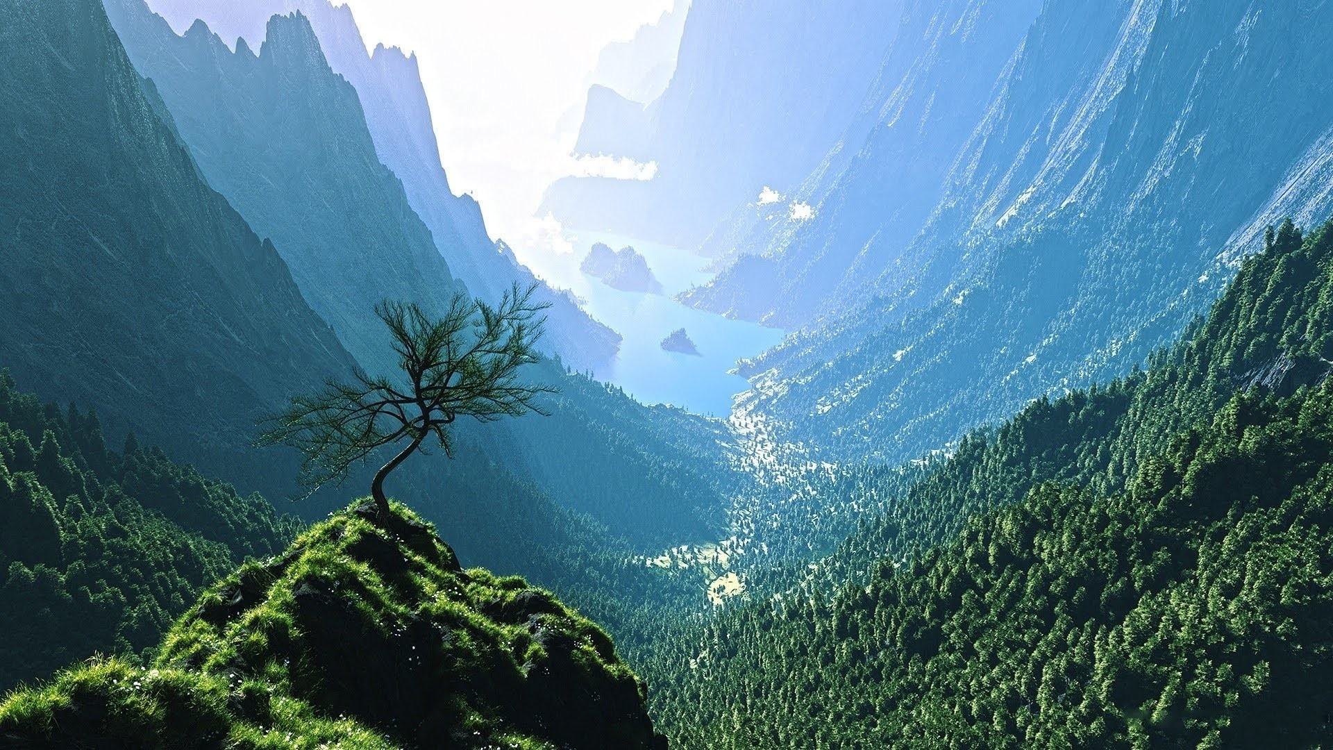 Eye Relaxing Wallpaper