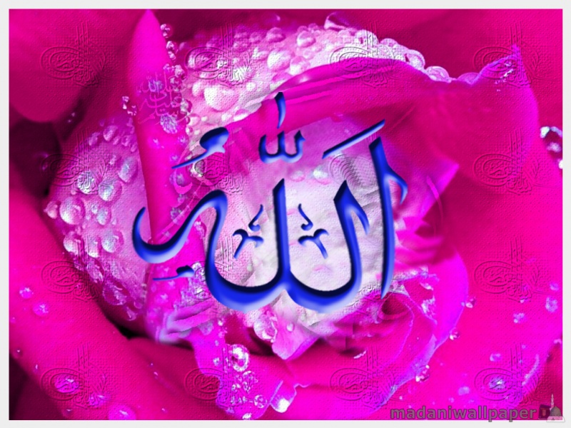 Name Of Allah Wallpaper 3d Nature