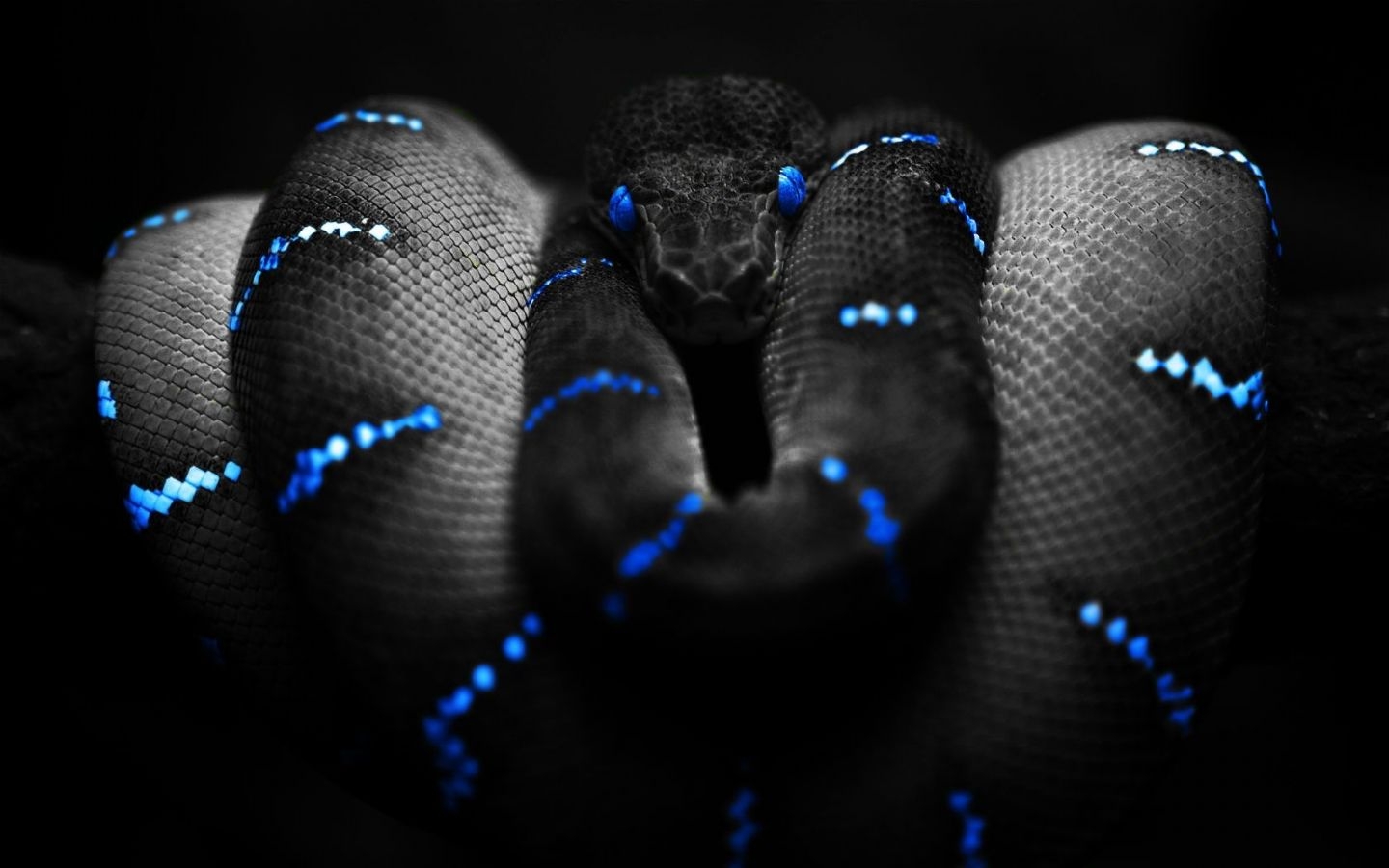 Black Wallpaper HD