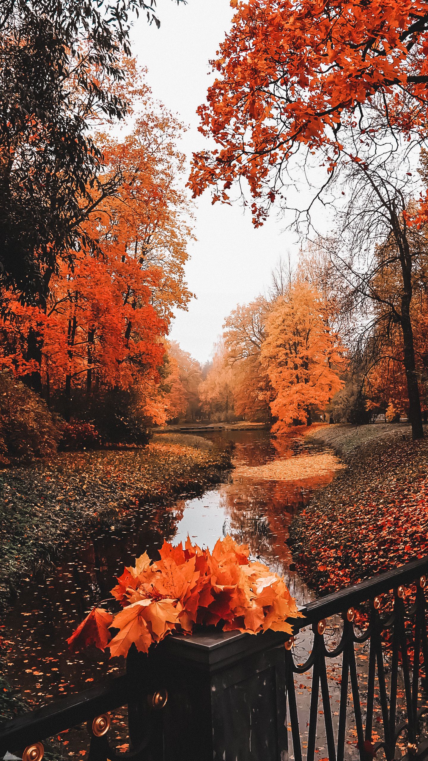 Aesthetic Fall Wallpaper iPhone Picture