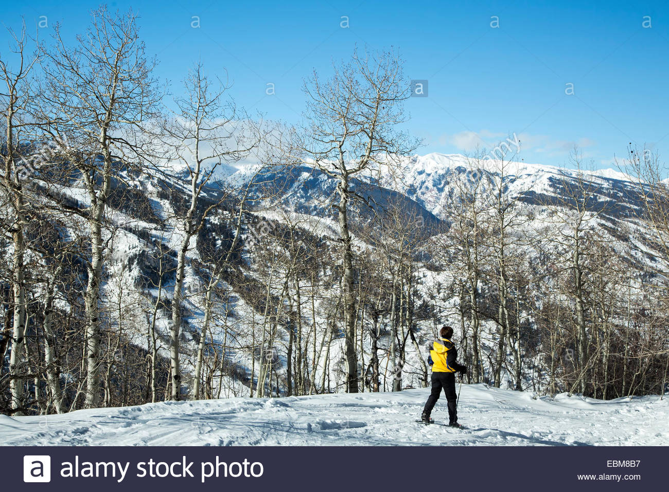 Woman Snow Shoer And Aspen Mountain In Background Trail To