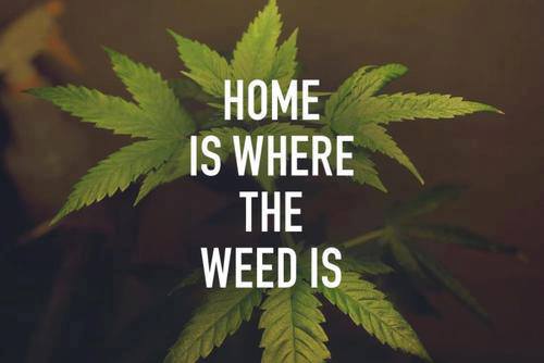 Weed Background For