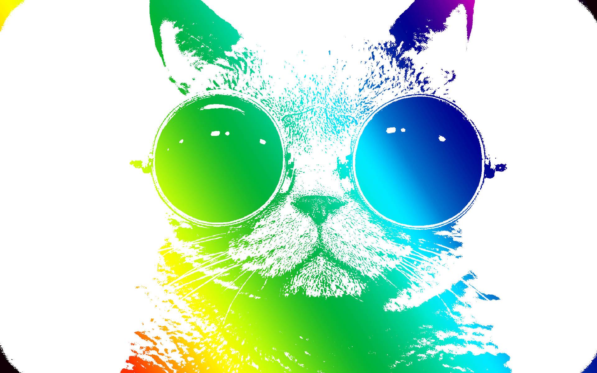 A Vibrantly Colored Cool Cat Amidst Rainbow Backdrop