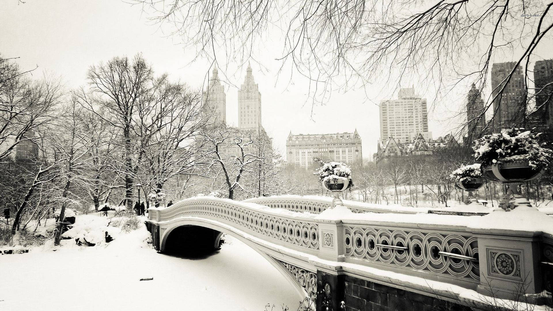 Winter Aesthetic Wallpaper