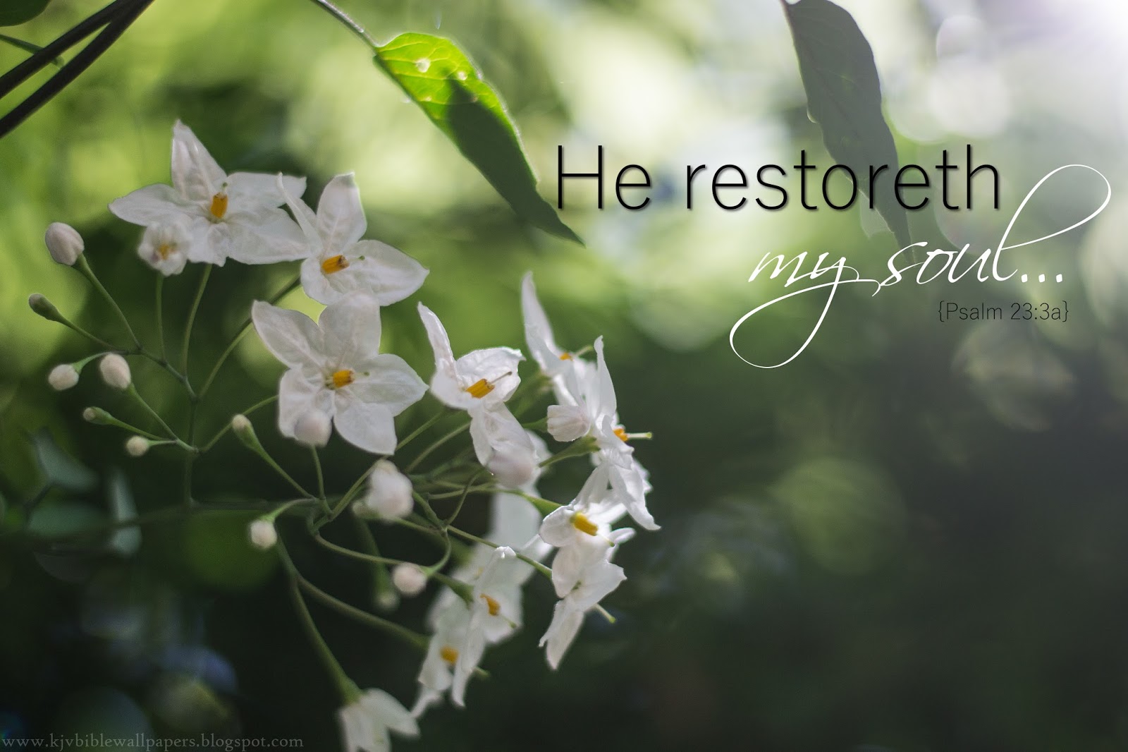 He Restoreth My Soul Psalm