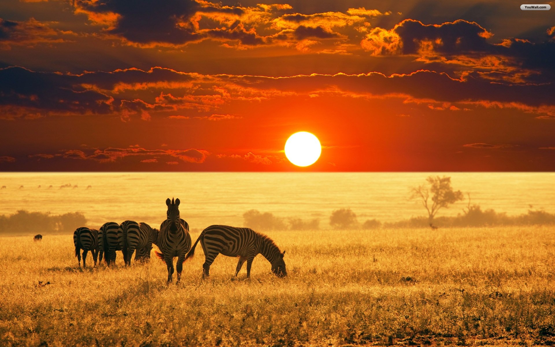 Set As Desktop Wallpaper Africa Sunset Kb