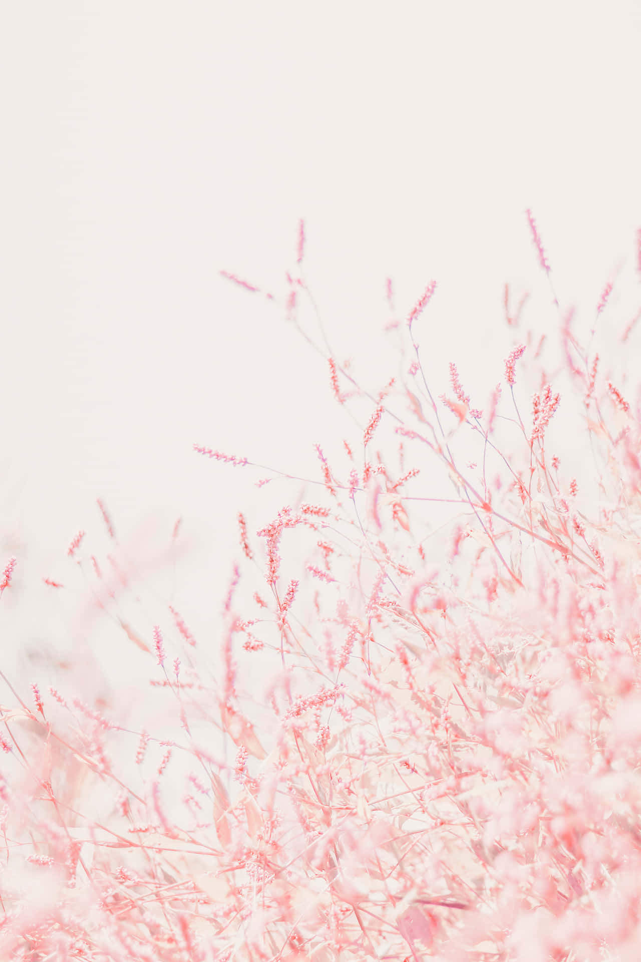 Find The Beauty In Details Wallpaper