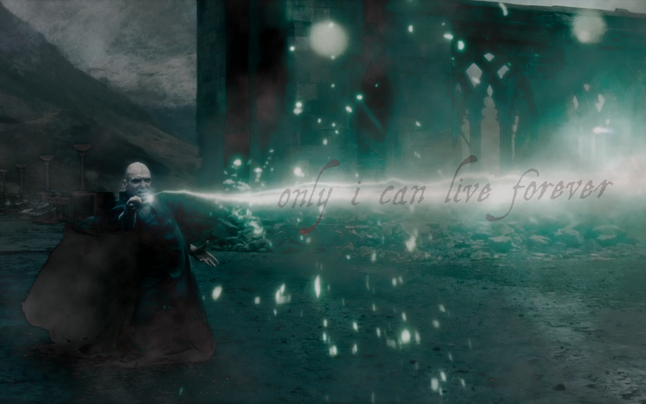 Lord Voldemort in Deathly Hallows   Harry Potter Wallpaper 13426807