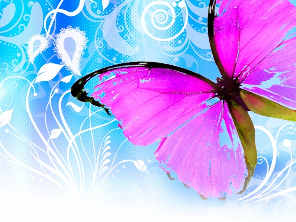 Pink Butterfly Wallpaper Fond D Cran