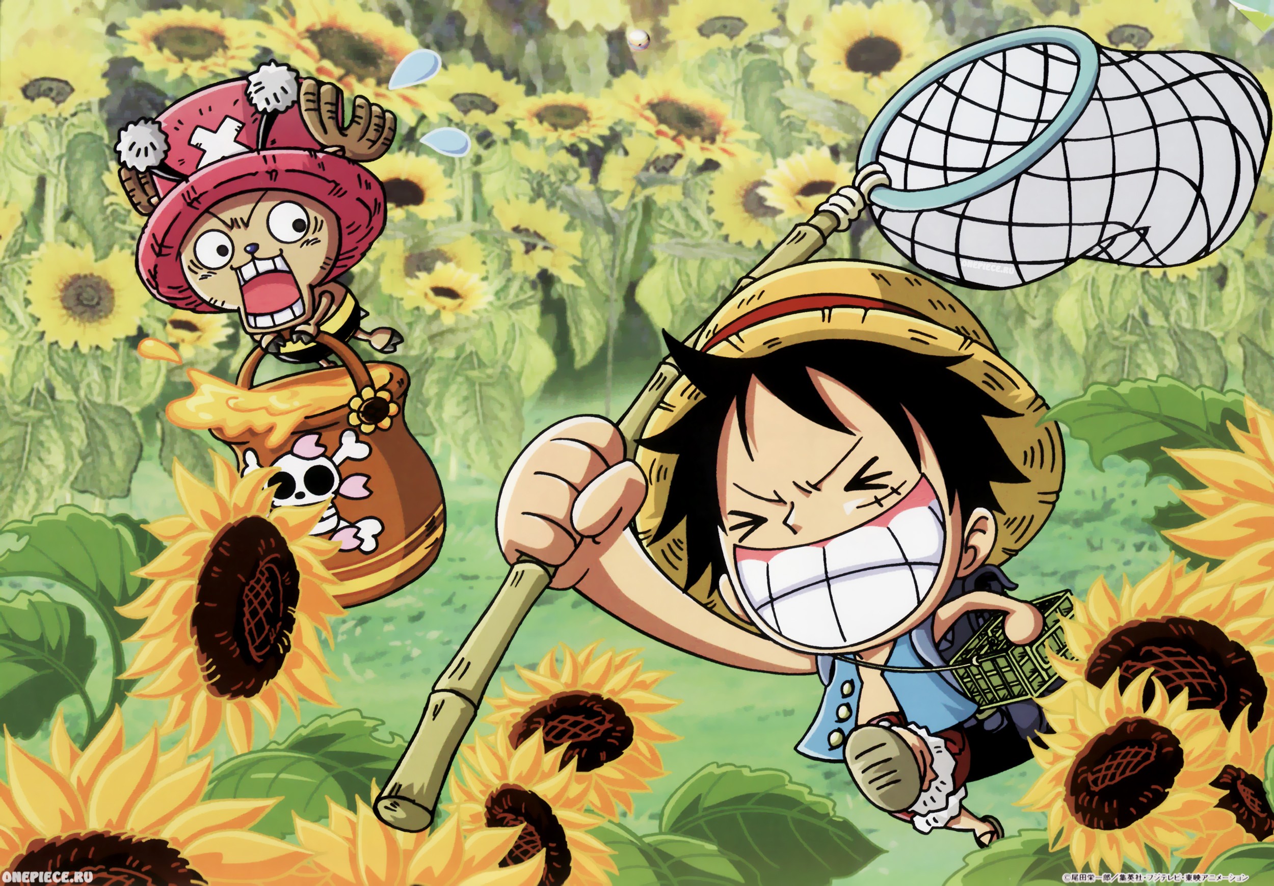 Download One Piece Chibi Luffy Wallpaper 2500x1739 22787 Full Size