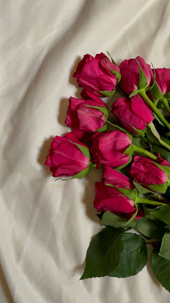 Red Flower Wallpaper