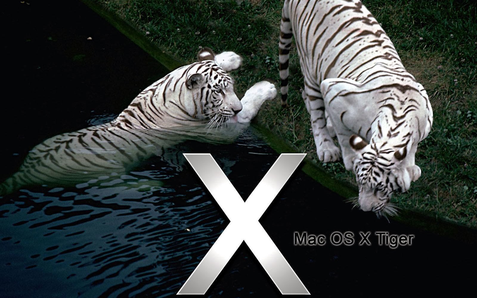 Mac Os X Tiger Wallpaper Desktop