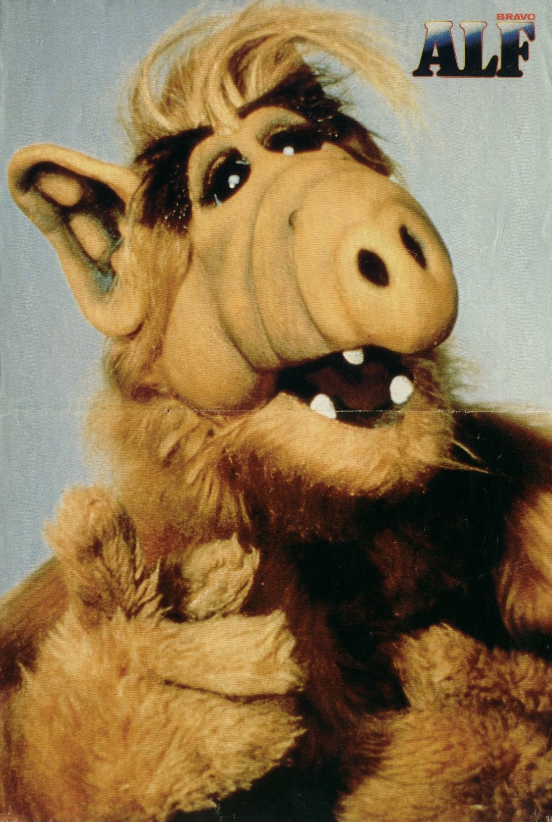 Alf Image HD Wallpaper And Background Photos