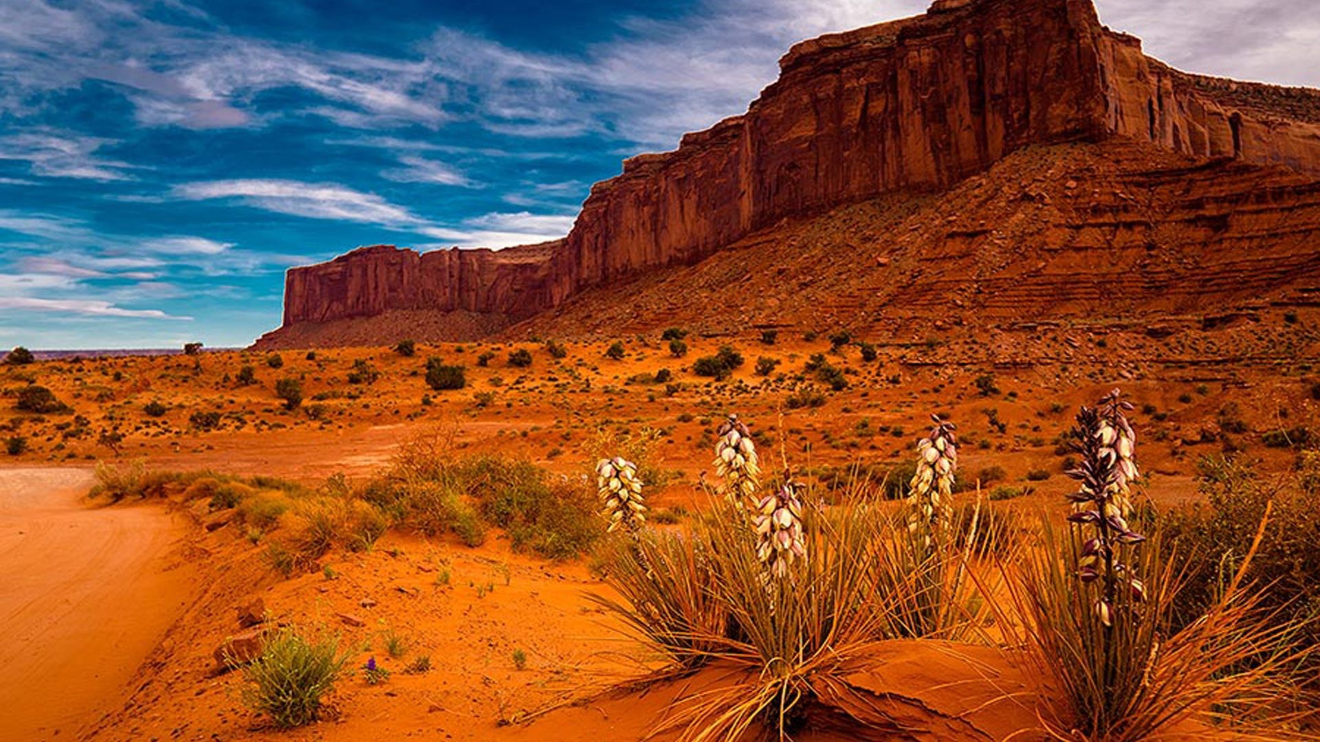 Arizona Desert Desktop Wallpaper
