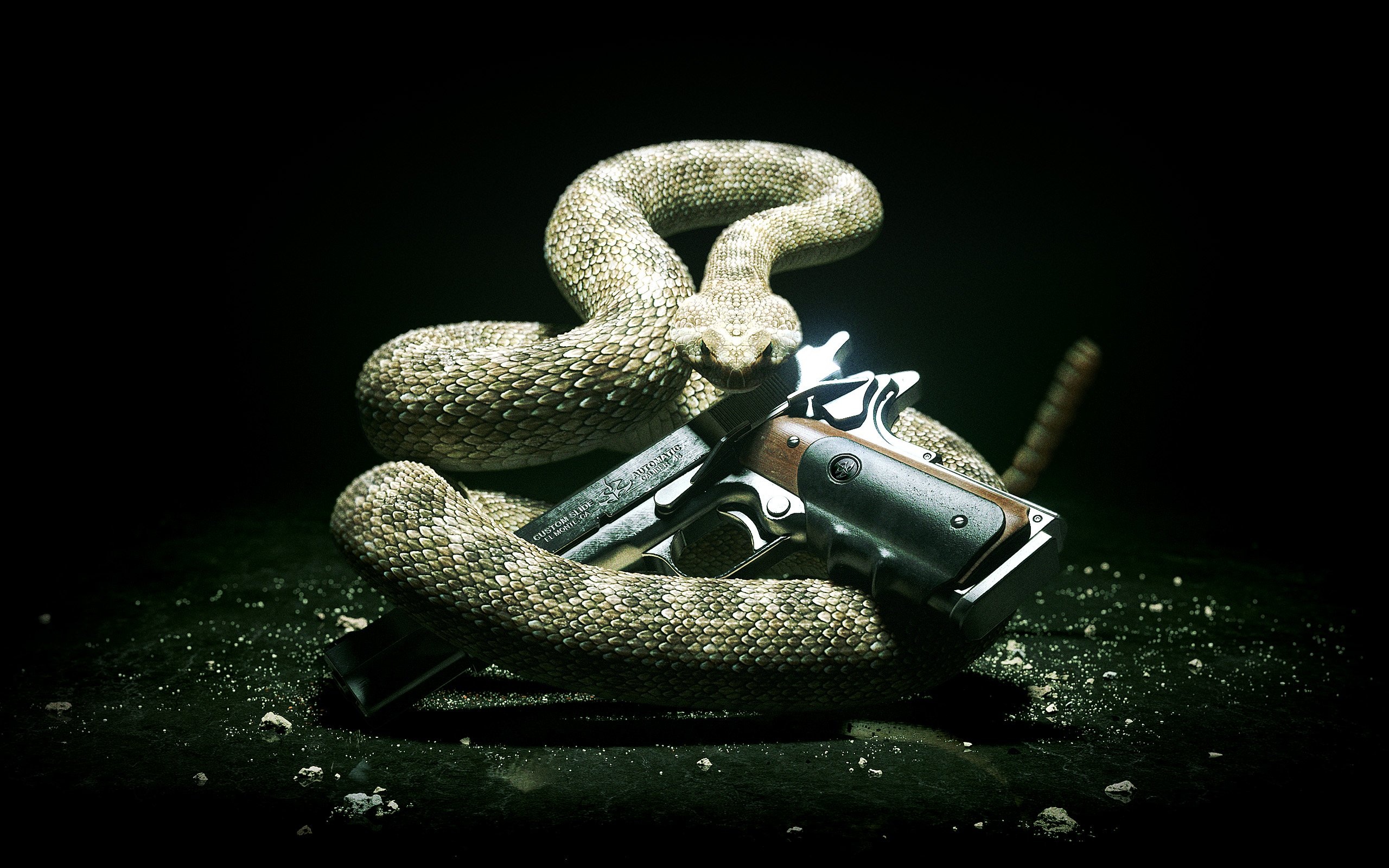 Hitman Absolution Wallpaper