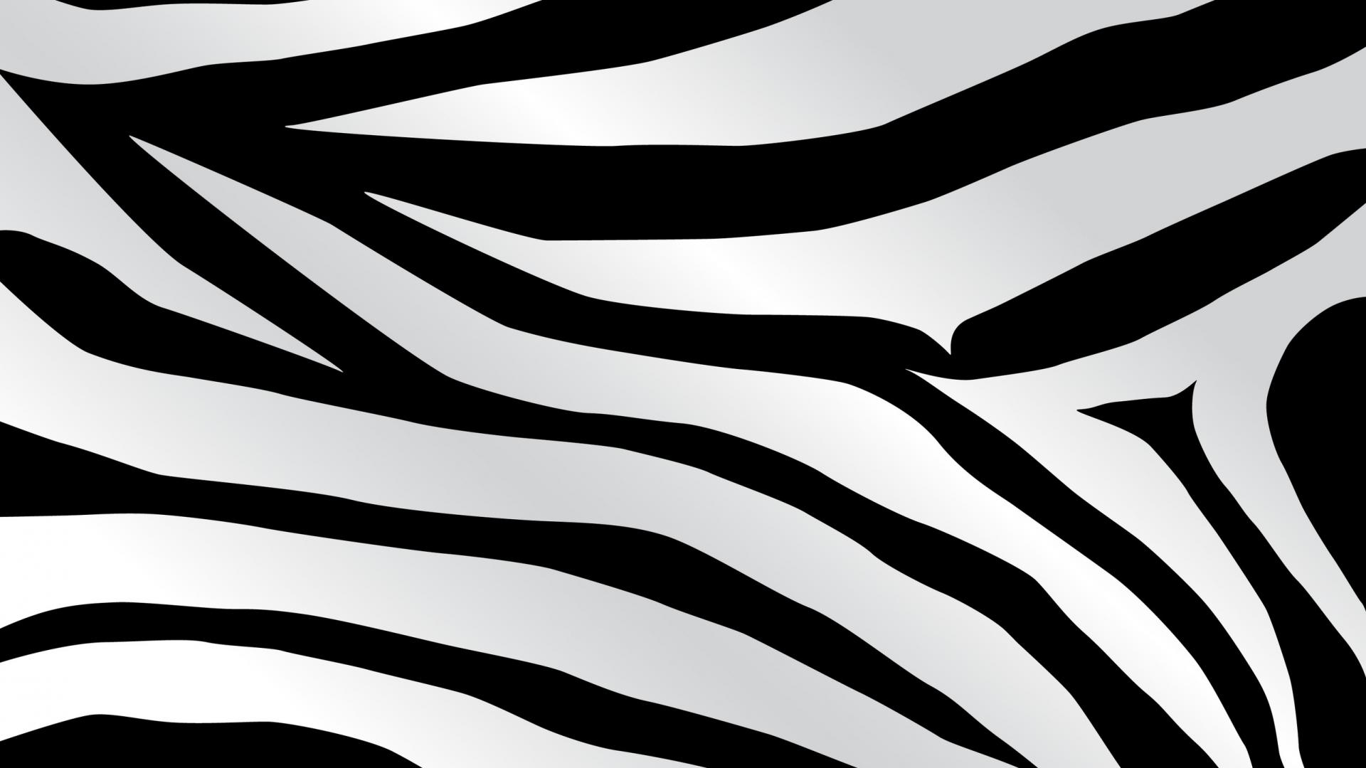 Desktop Wallpaper Zebra Print Dowload