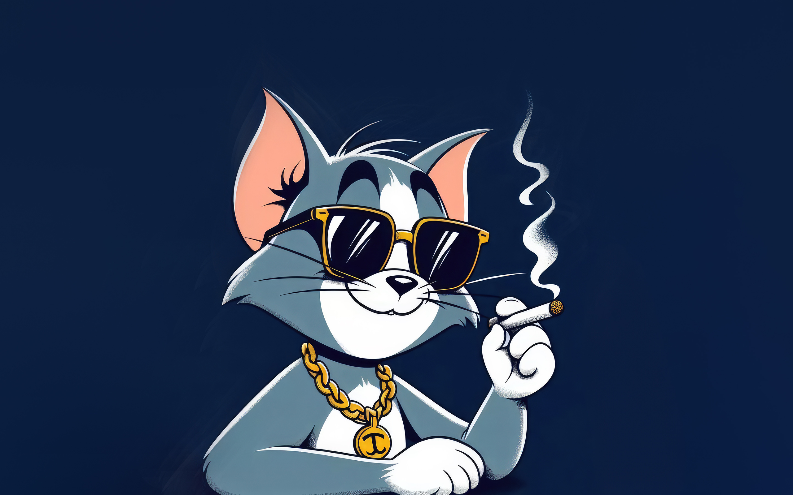 Cool Tom Wallpaper Resolution HD 4k