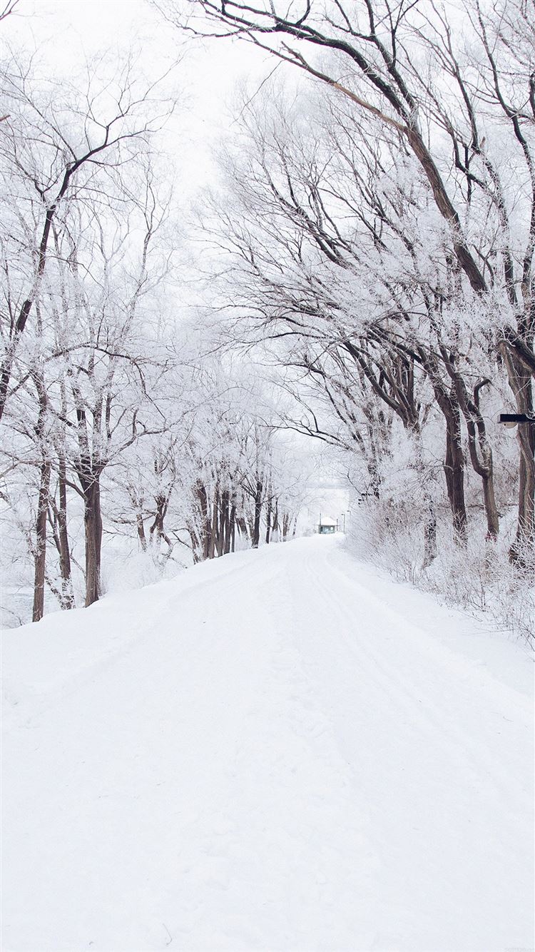 Winter Road Romantic Nature Snow White iPhone Wallpaper