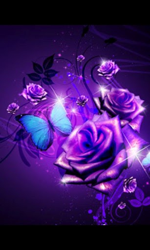 Purple Roses Live Wallpaper For Android Appszoom