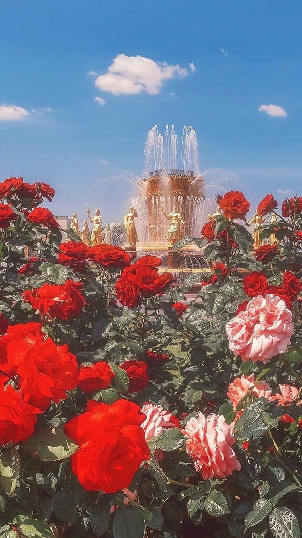 Red Flowers Wallpaper