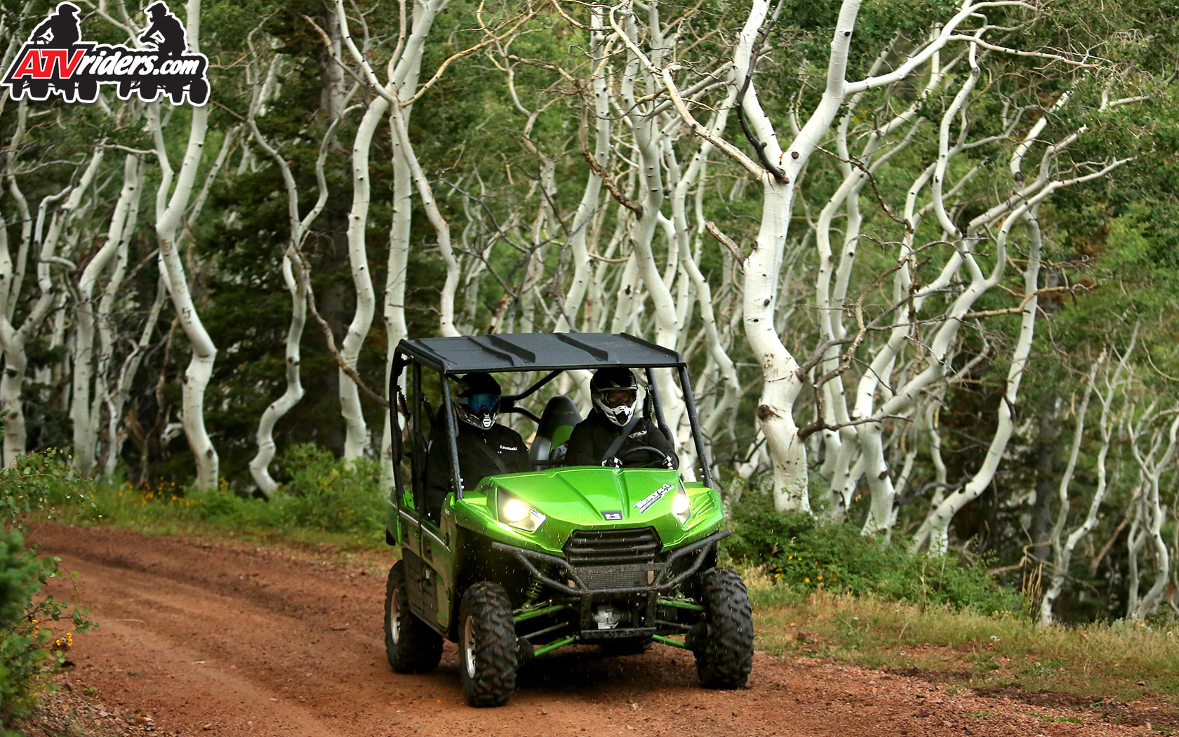 Kawasaki Teryx Limited Edition Sxs