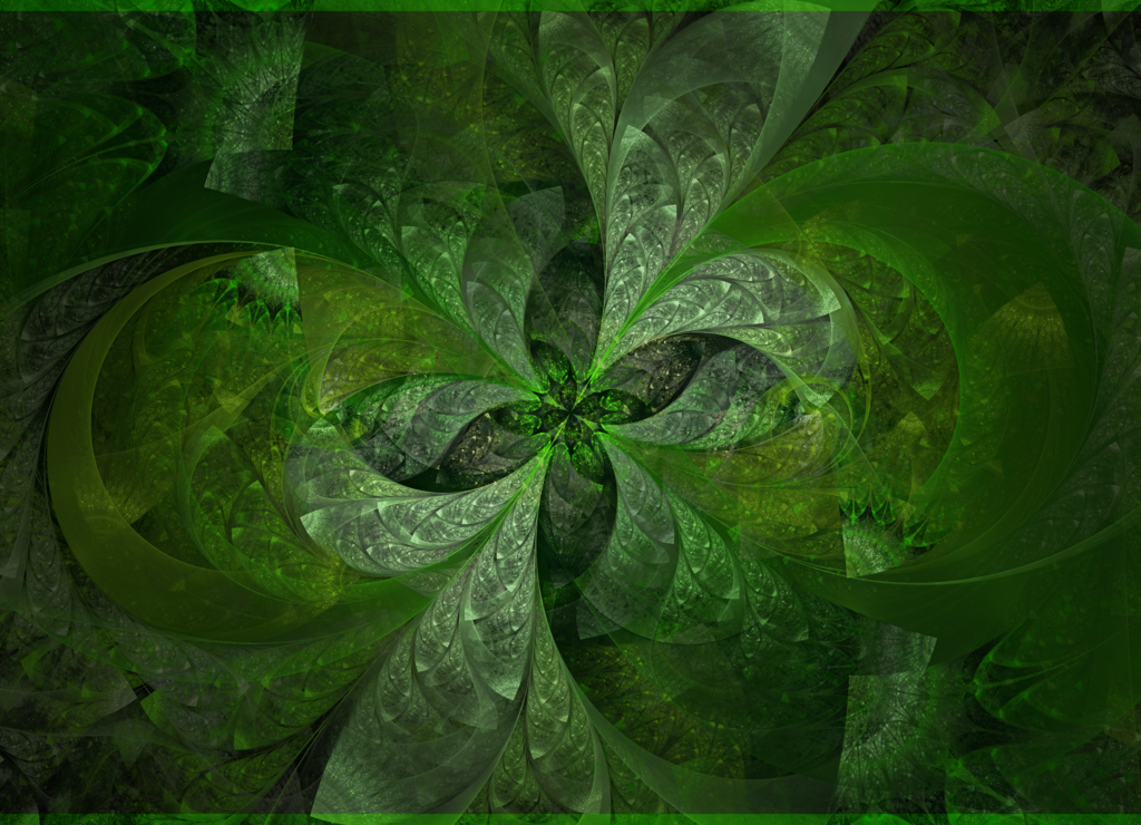 Real Four Leaf Clover Wallpaper By