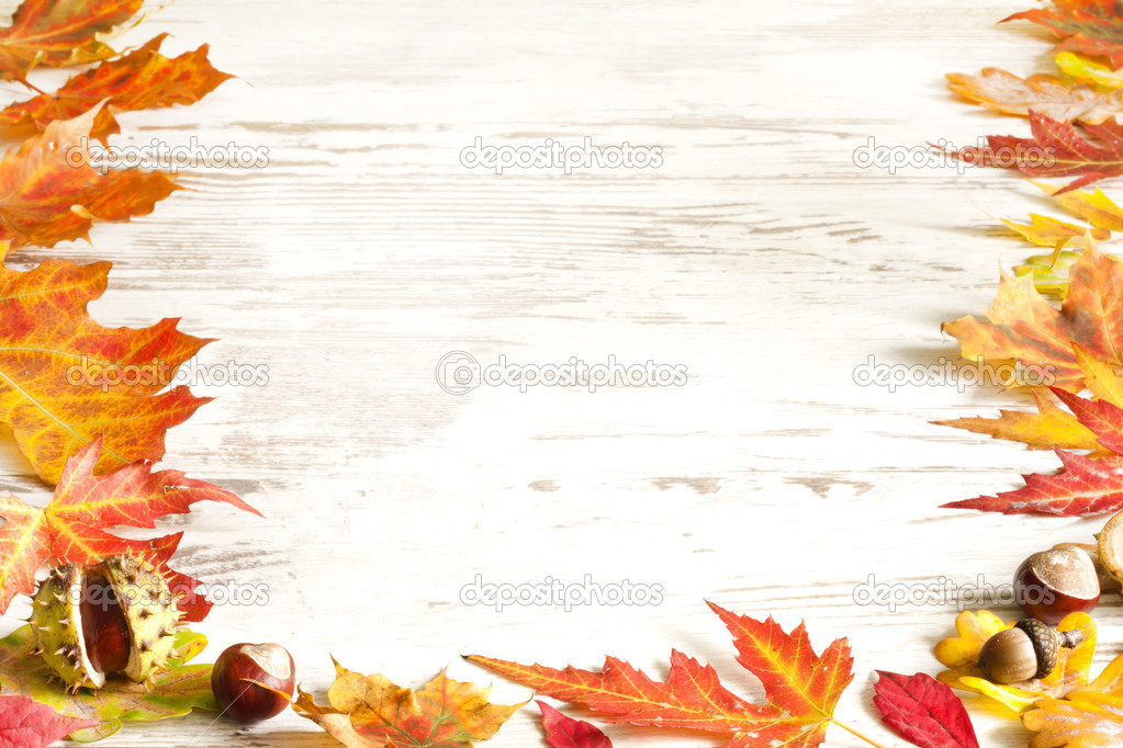 Autumn Leaves Wallpaper Border Autumn leaves on white boards
