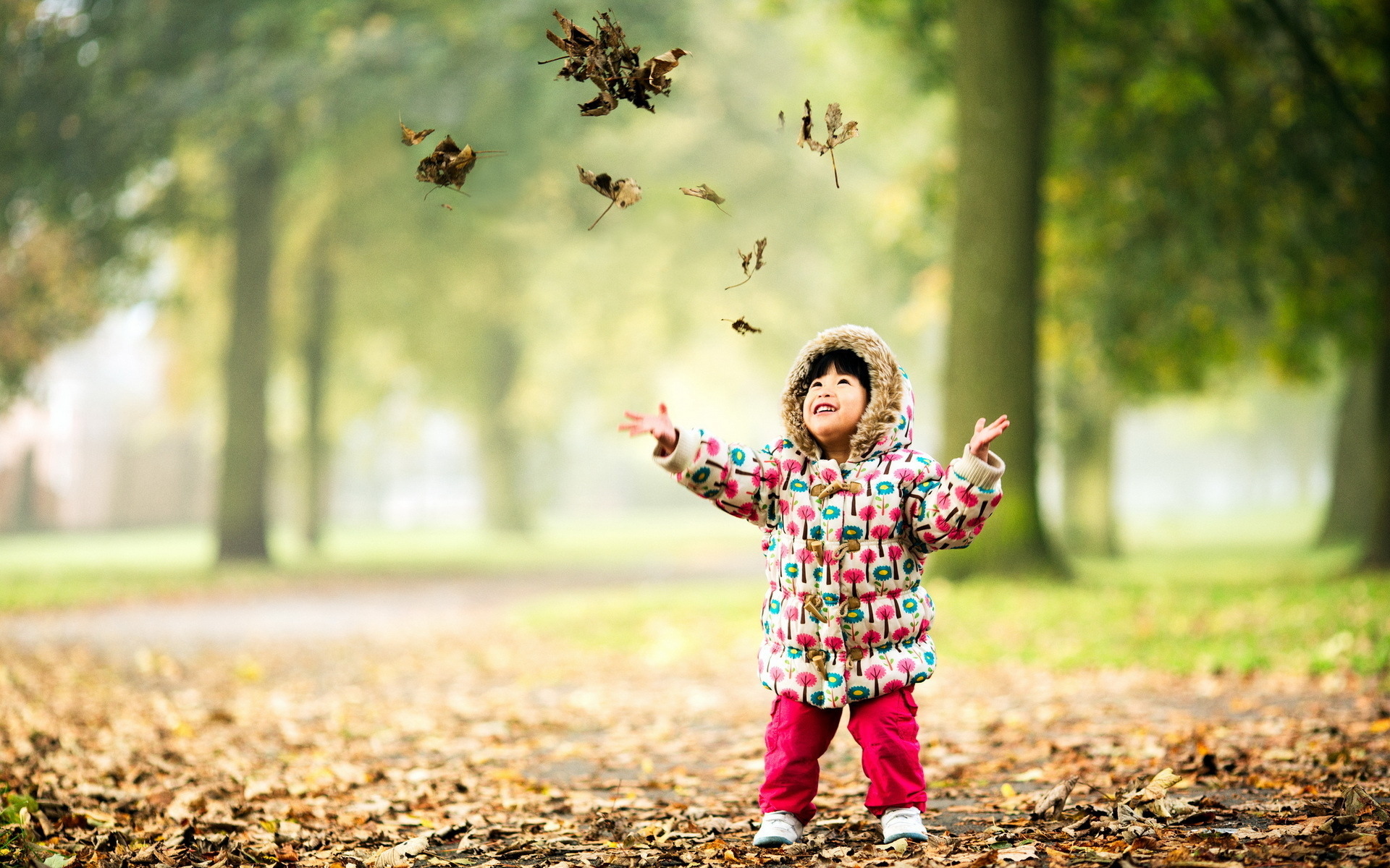 Photography Child HD Wallpaper Background Image