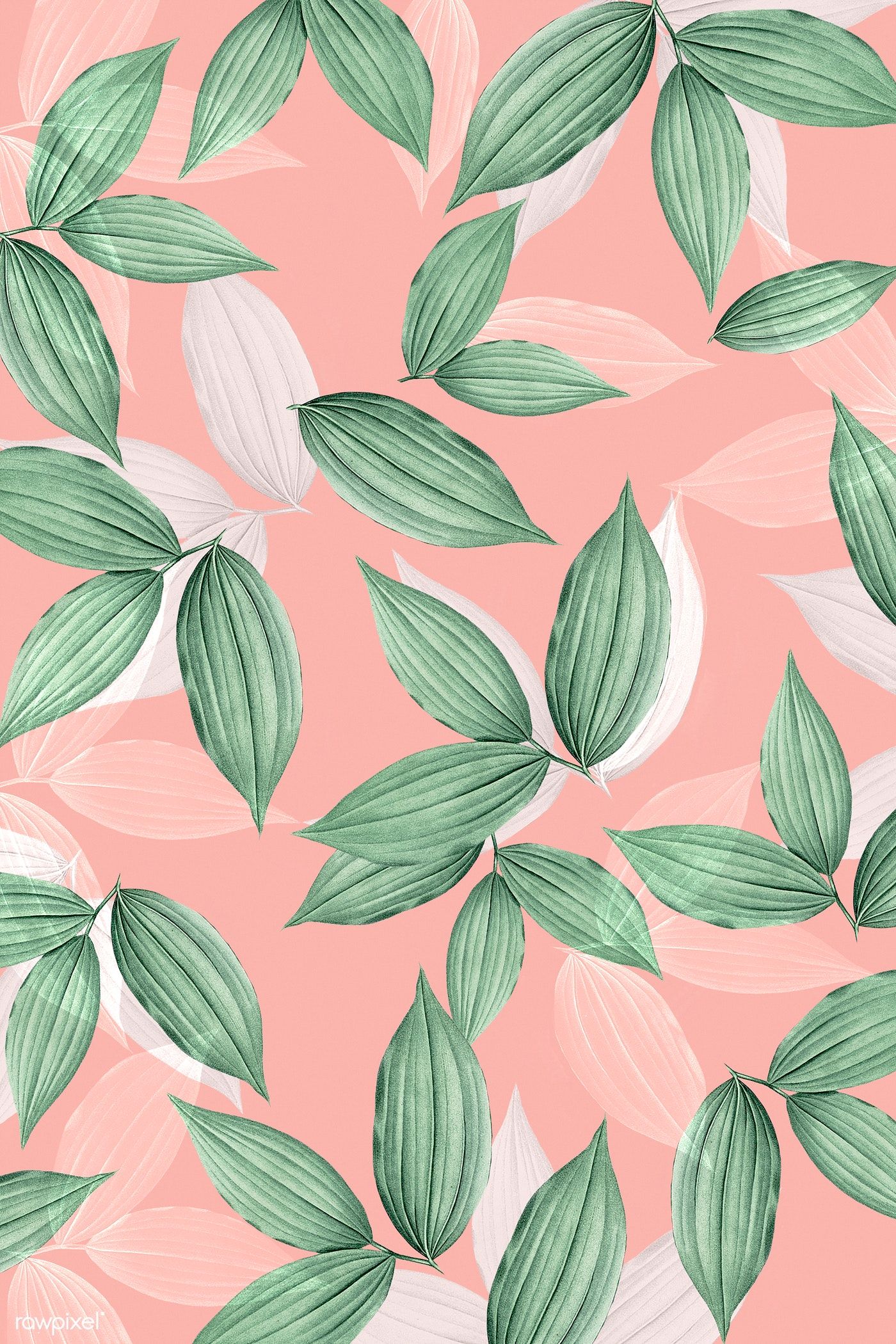 Aesthetic Leaves Wallpaper