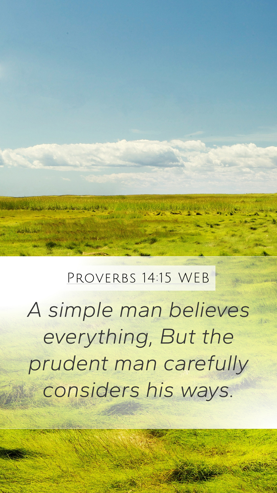 Proverbs 1415 WEB Mobile Phone Wallpaper   A simple man believes