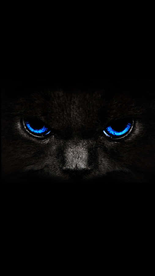 Black And Blue iPhone Wallpaper