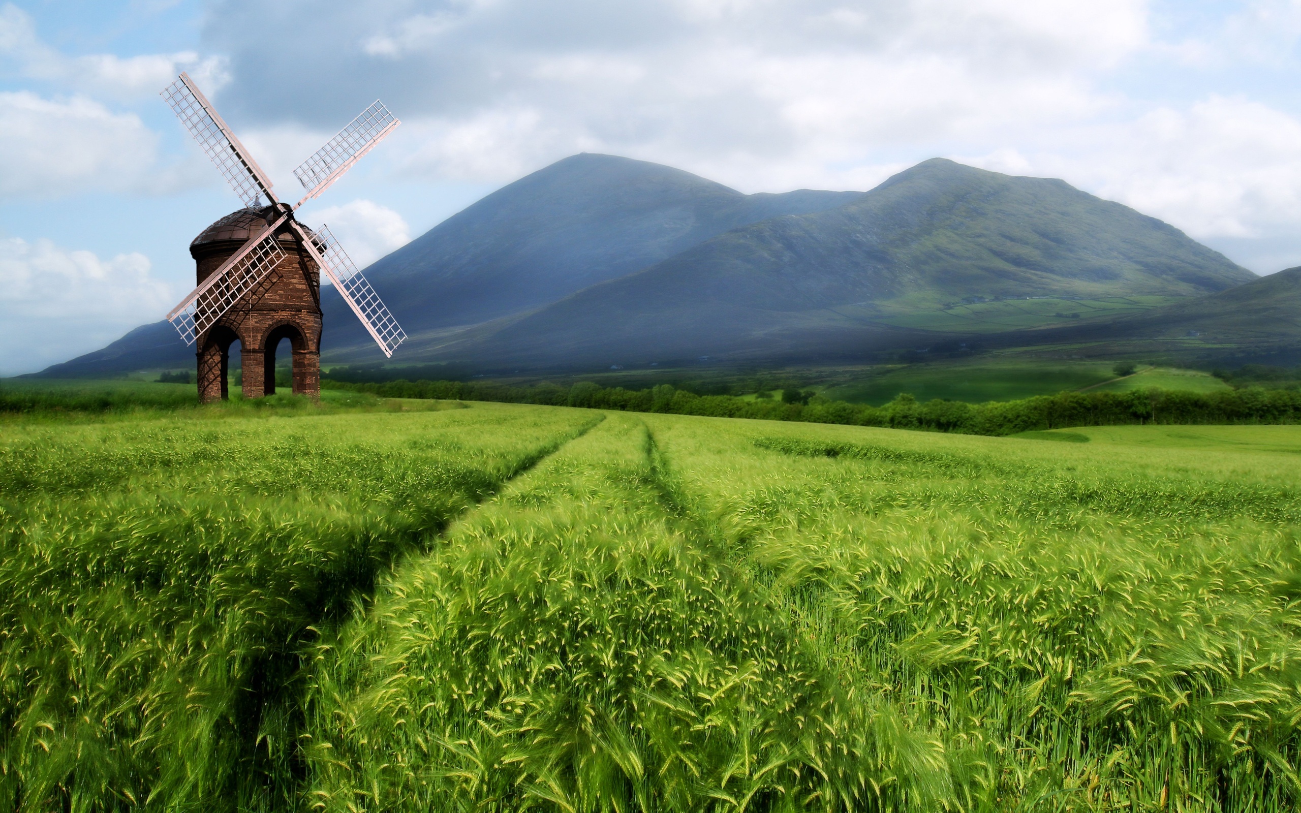 Field Wallpaper HD