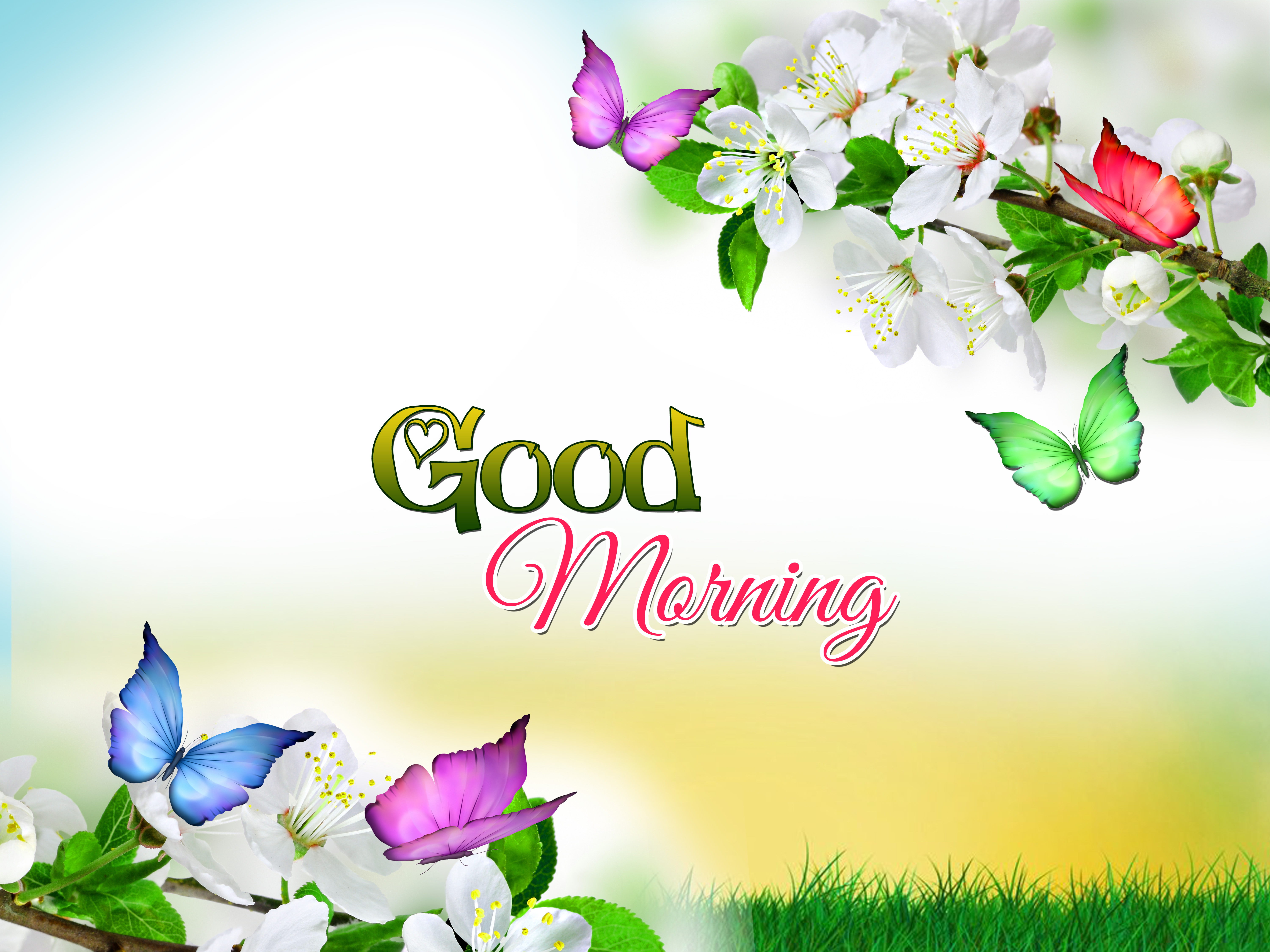 Good Morning Wallpaper Picture Long