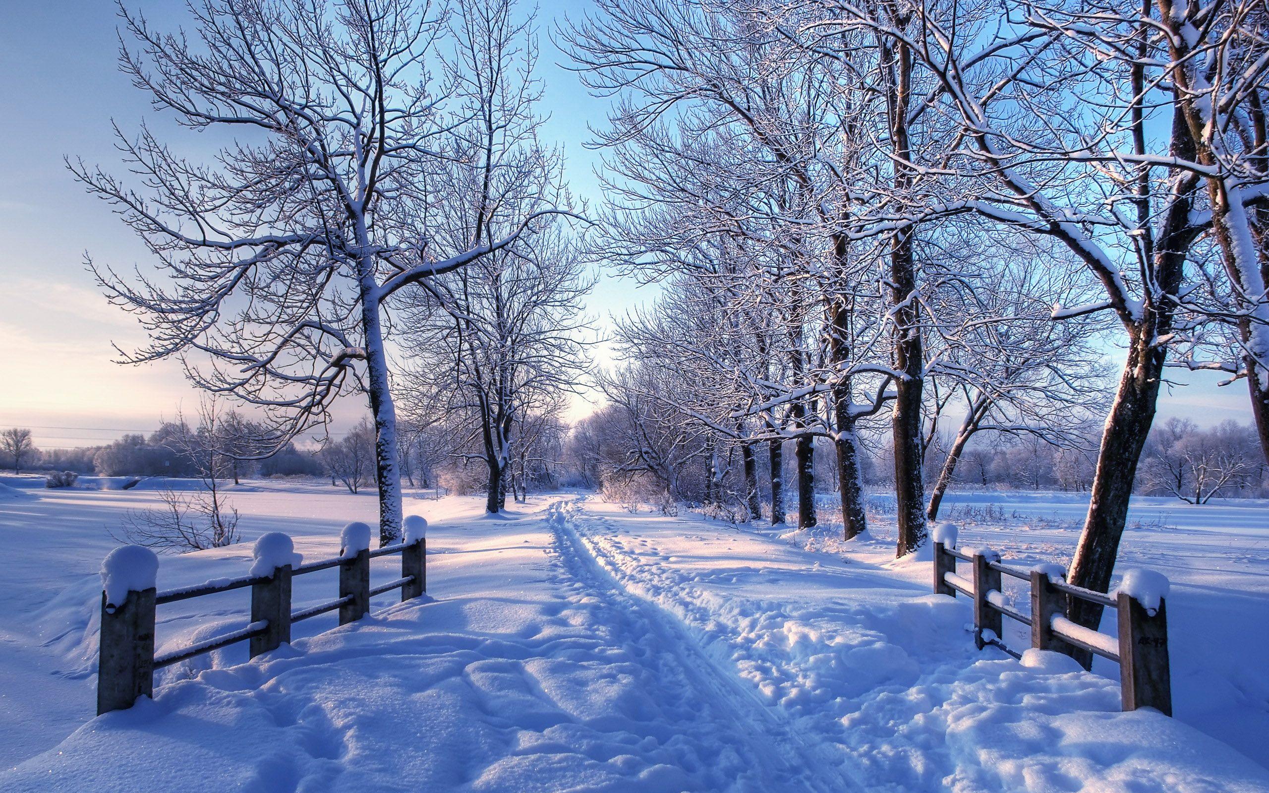 Winter Wallpaper For Mac Landscape Scenery