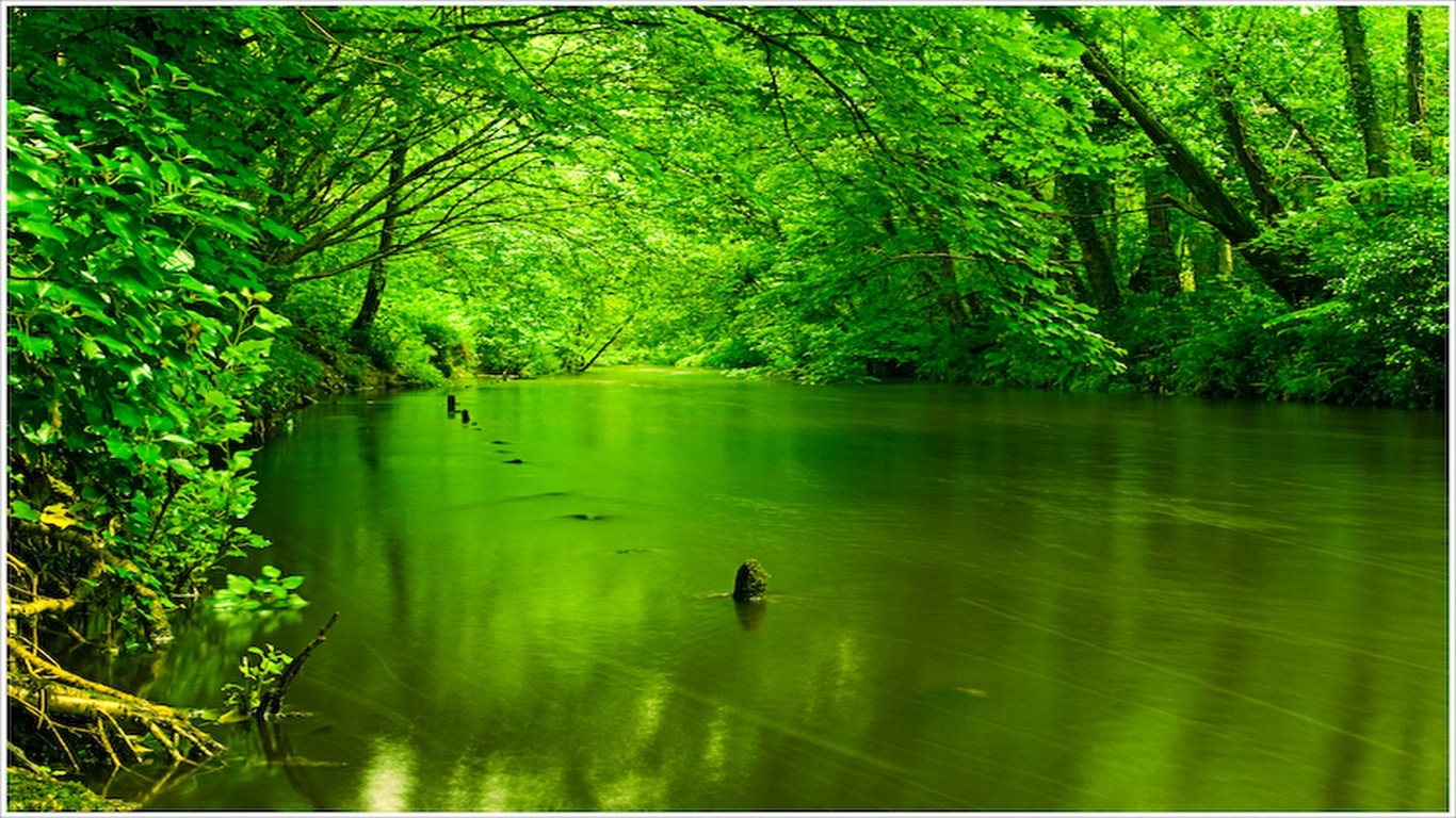  Green Nature Stream Trees Water   1366x768 iWallHD   Wallpaper HD