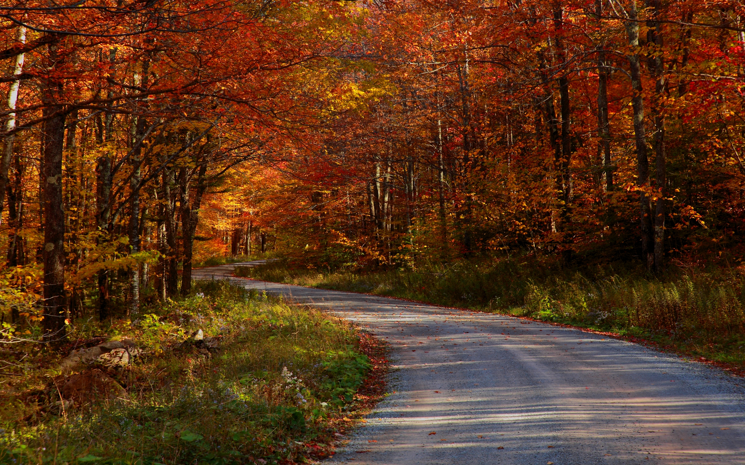 Autumn Wallpaper Country Roads Take Me Home HD