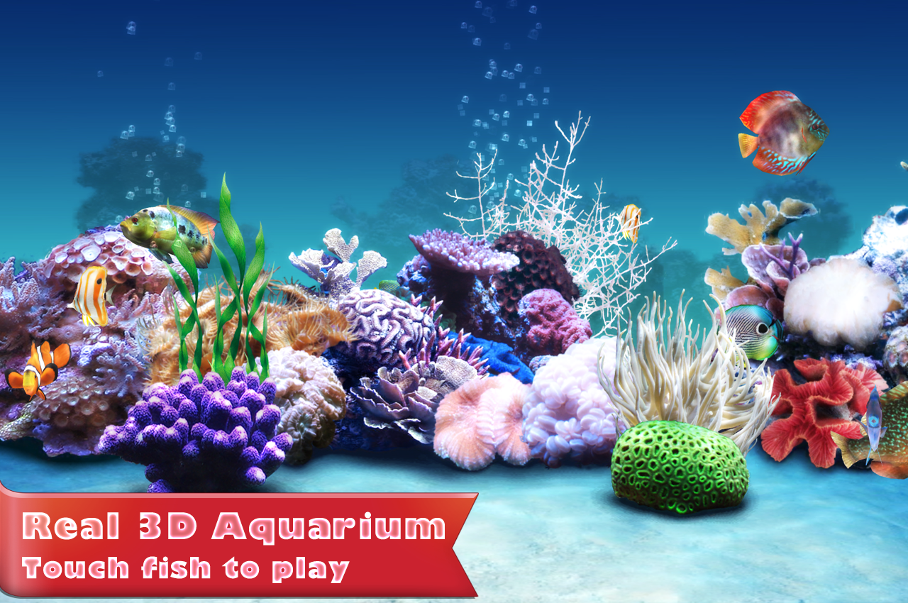 Aquarium Fish Live Wallpaper   Android Apps on Google Play