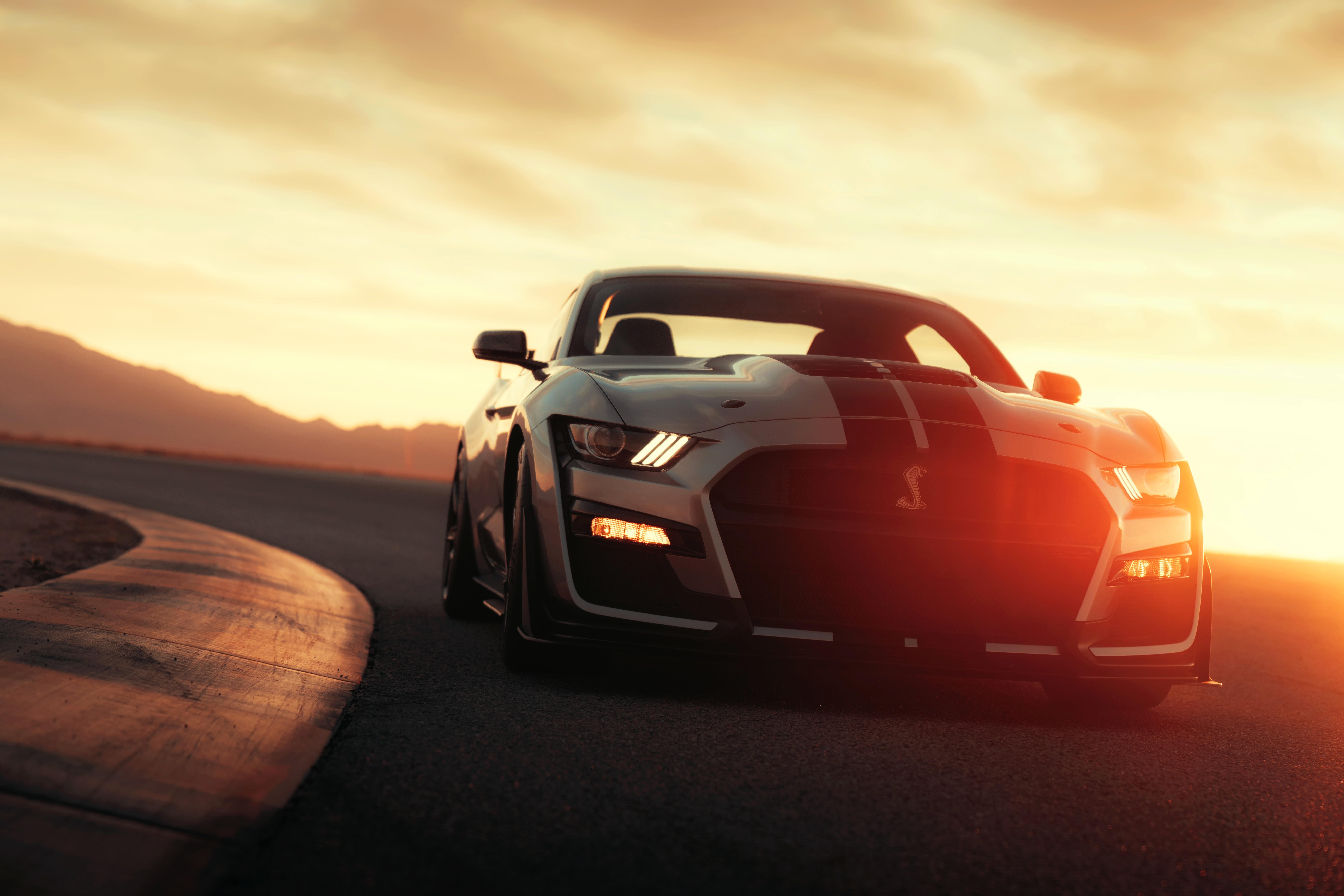 Ford Silver Car Mustang Shelby Gt500