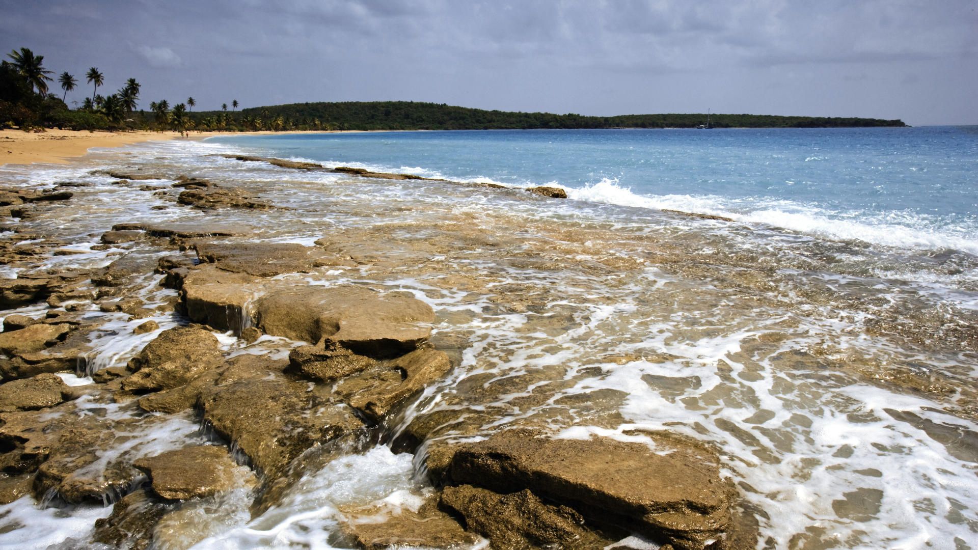 Puerto Screensaver Wallpaper Background Vieques Sea Nature