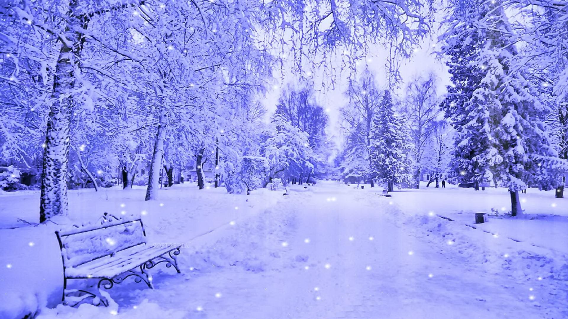 A picturesque winter wonderland scene in a snow-covered park, featuring a path lined with snow-laden trees and a bench dusted with snowflakes