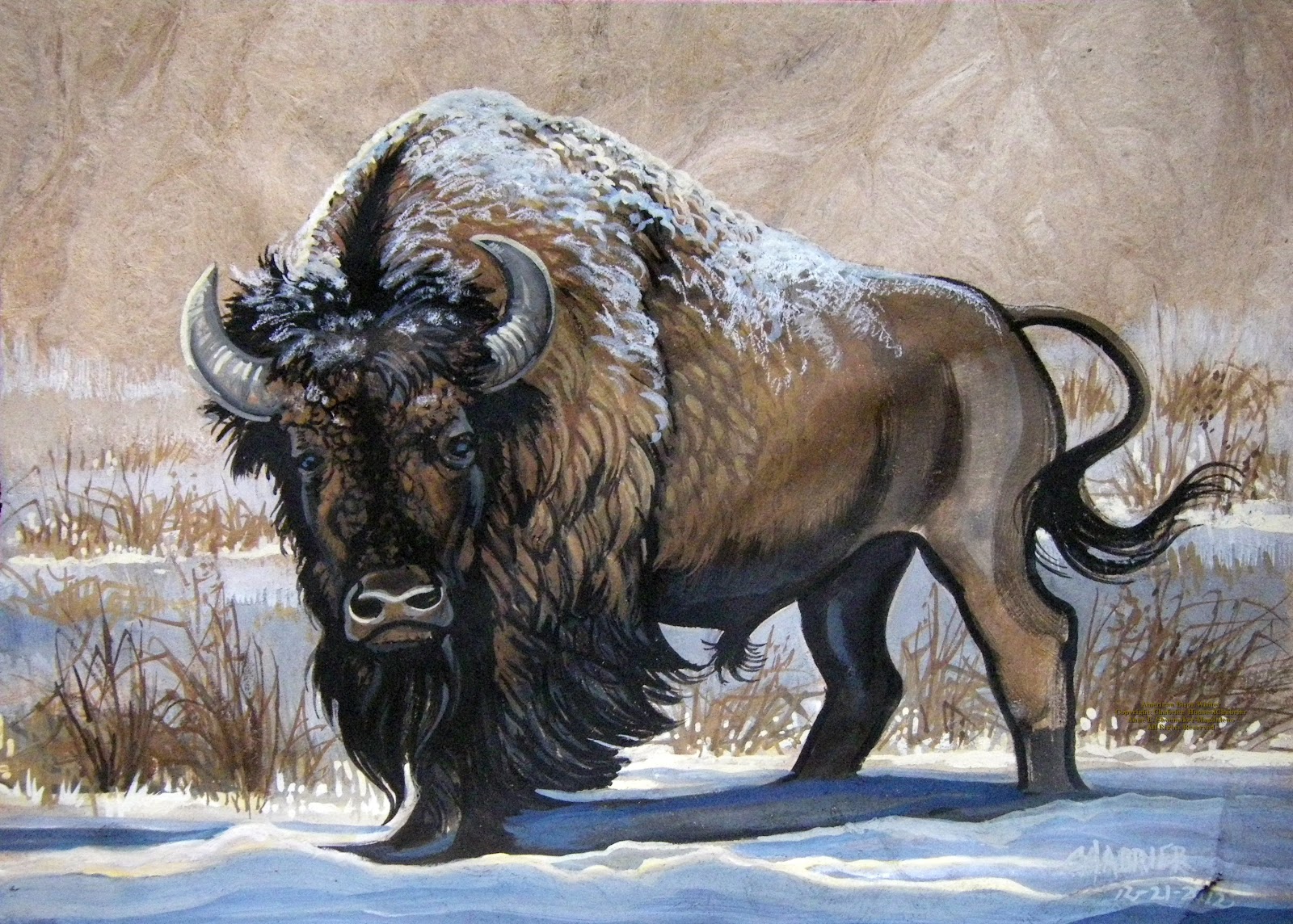 American Bison Steadfast Warrior X Watercolor Painting On