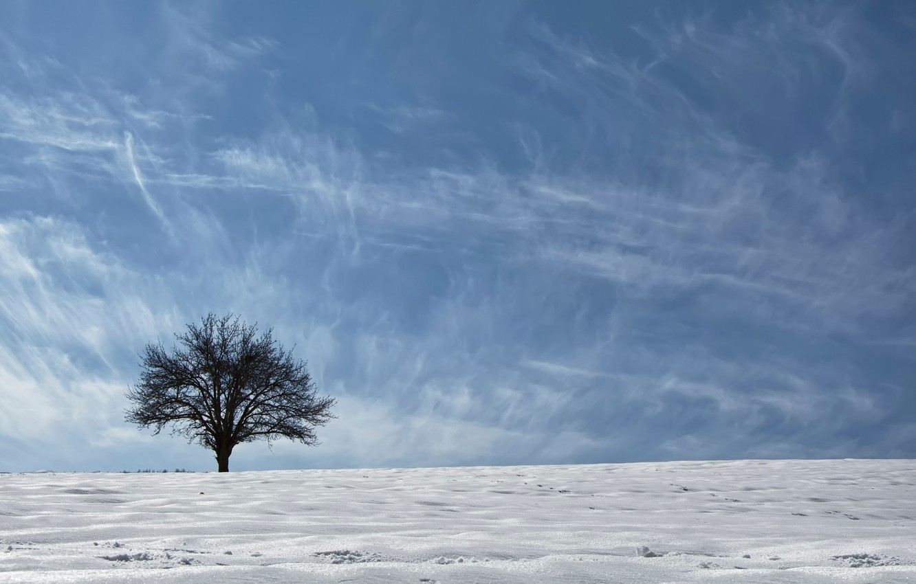 Wallpaper The Sky Snow Tree Asia Ethno Geographical Region